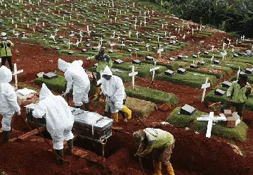 Foto: Kilas Balik 1 Tahun Corona di Indonesia