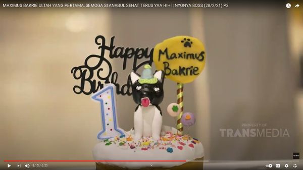 8 Momen Kemeriahan Pesta Ultah Anjing Nia Ramadhani, Tamunya Keluarga Bakrie