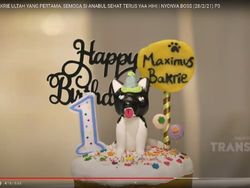 8 Momen Kemeriahan Pesta Ultah Anjing Nia Ramadhani, Tamunya Keluarga Bakrie