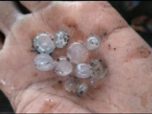 Hujan Es Sebesar Kelereng Terjadi di Sleman