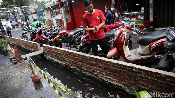 Penampakan Saluran Air di Koja yang Disulap Jadi Kolam Ikan