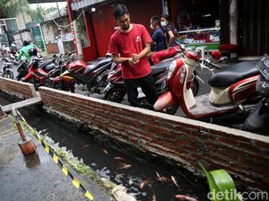 Penampakan Saluran Air di Koja yang Disulap Jadi Kolam Ikan Penampakan Saluran Air di Koja yang Disulap Jadi Kolam Ikan