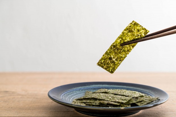 Rumput laut/freepik.com Mungkin masih banyak yang belum tahu, ternyata rumput laut sangan rendah kalori dan karbohidrat.