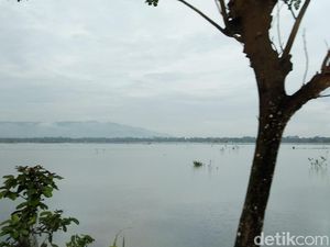 Ratusan Hektare Sawah Pangandaran Kebanjiran, Petani: Nggak Ada Solusi Ratusan Hektare Sawah Pangandaran Kebanjiran, Petani: Nggak Ada Solusi