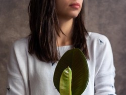 5 Tanaman Hias Ini Bisa Bantu Bersihkan Debu di Rumah