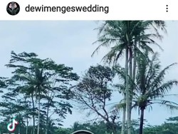 Viral Bikin Heboh, Pengantin Naik Kereta Kuda Melintasi Persawahan Magelang
