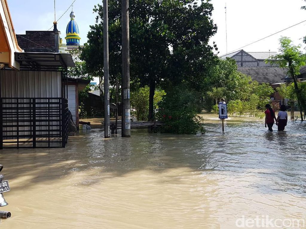 Sungai Pacal Bojonegoro Meluap, 4 Desa Terendam Banjir Sungai Pacal Bojonegoro Meluap, 4 Desa Terendam Banjir
