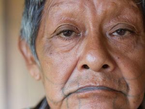 COVID-19 Renggut Nyawa Pejuang Terakhir Juma, Suku Asli Amazon di Brasil