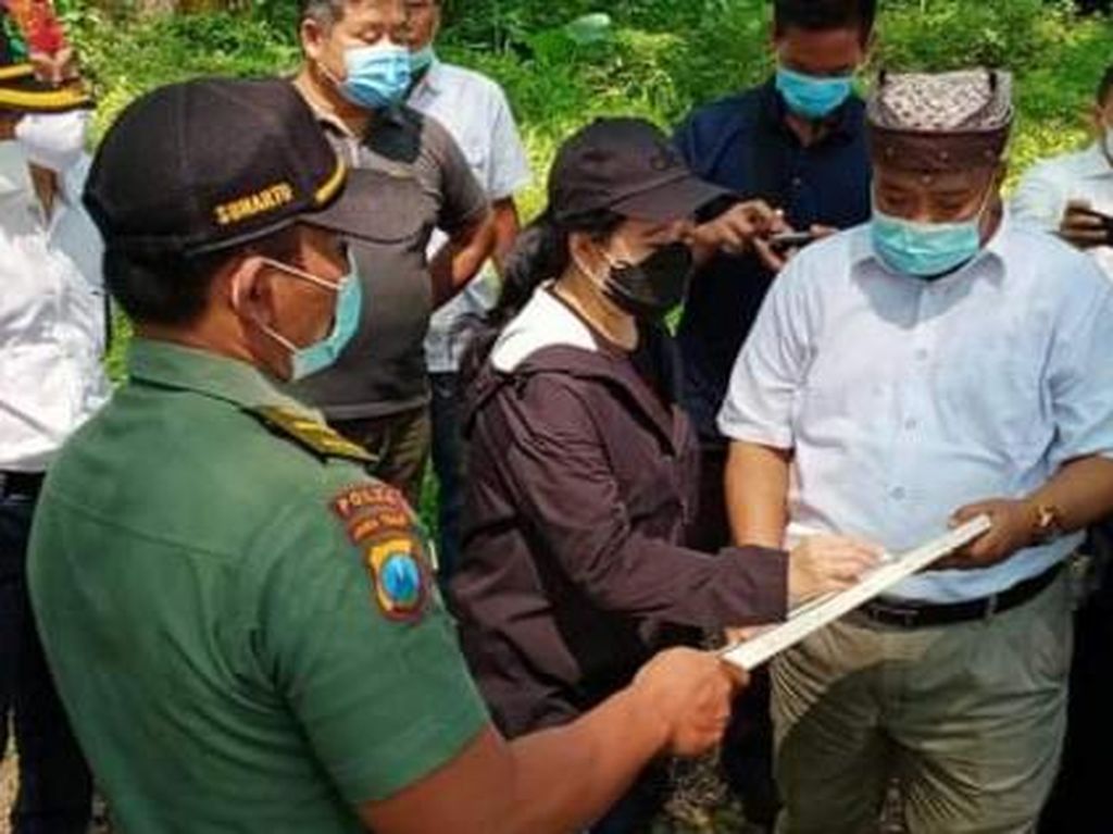 Kunjungi de Djawatan, Puan Tulis Pesan untuk Wisata di Banyuwangi Kunjungi de Djawatan, Puan Tulis Pesan untuk Wisata di Banyuwangi