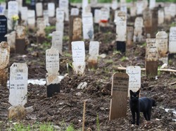 COVID-19 RI Pecah Rekor, Kemenkes Bandingkan Kematian Omicron Vs Delta