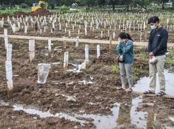 Satgas Covid-19 Beberkan Angka Kematian Covid-19  Selama Setahun