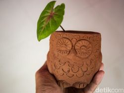 Tanaman Hias Jadi Primadona, Gerabah Bantul Kecipratan Laba