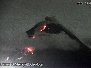 Gunung Merapi Muntahkan 81 Kali Lava Pijar dalam 12 Jam