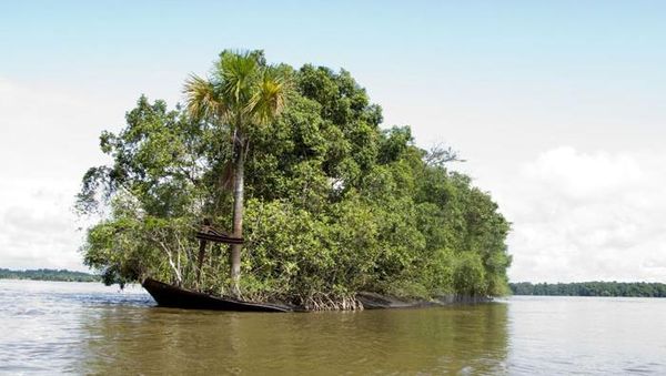 Foto: Bukti Alam Lebih Kuat dari Peradaban