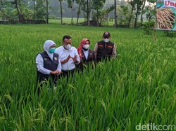 Ini Respons Pemprov Jatim soal Ditemukannya Corona B117 di Karawang