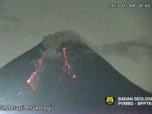 Gunung Merapi Erupsi Malam Ini, Luncurkan Awan Panas 1,3 Km