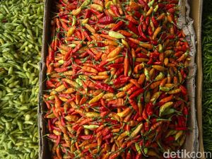 Buset! Harga Cabai Sempat Rp 150.000, Lebih Mahal dari Daging Sapi Buset! Harga Cabai Sempat Rp 150.000, Lebih Mahal dari Daging Sapi