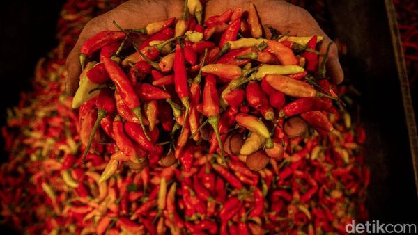 Harga Cabai Rawit di Ibu Kota Pedas Menggigit
