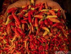 Pemerintah Bisa Cegah Harga Cabai Makin Pedas Saat Ramadhan?