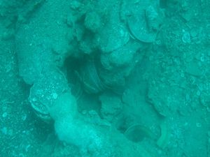 Total Harta Karun di Laut RI Rp 19.000 T, Ini Sebarannya