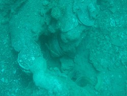 Total Harta Karun di Laut RI Rp 19.000 T, Ini Sebarannya