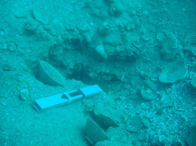 Penampakan Harta Karun Diduga dari Abad 17-PD II di Bawah Laut Sulsel