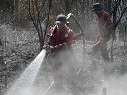 Ini Pentingnya Menjaga Keseimbangan Alam dan Kelestarian Sumber Daya Alam