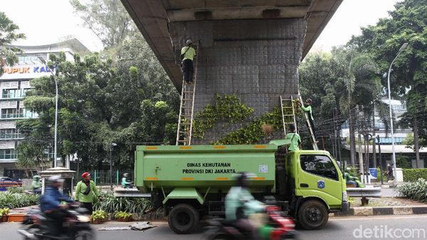 Perawatan Taman Vertikal Percantik Jalan