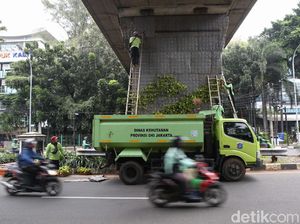 Perawatan Taman Vertikal Percantik Jalan