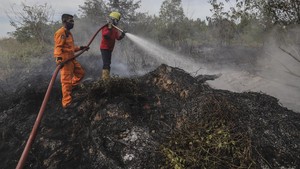 1.492 Hotspot Terpantau di Sumatera, Sumsel Tertinggi