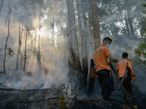 Titik Panas di Riau Meningkat Lagi Akhir Pekan, Hari Ini Ada 589