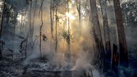 Titik Panas yang Sebabkan Kebakaran Hutan di Sumatera Bertambah