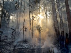 Titik Panas yang Sebabkan Kebakaran Hutan di Sumatera Bertambah