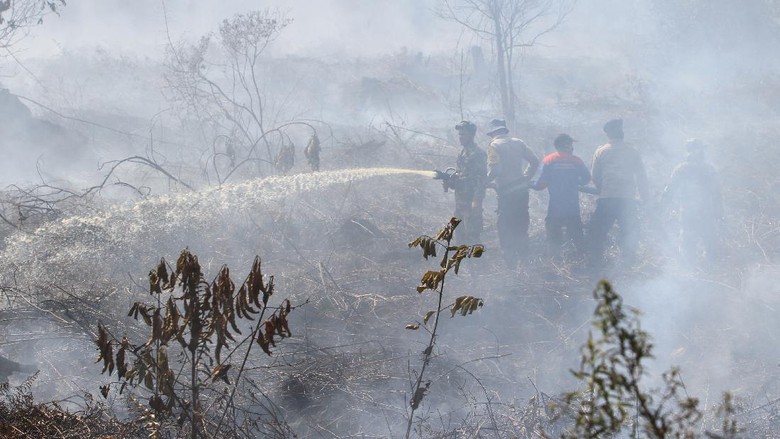 Pemprov Riau Tetapkan Status Siaga Darurat Kebakaran Hutan dan Lahan