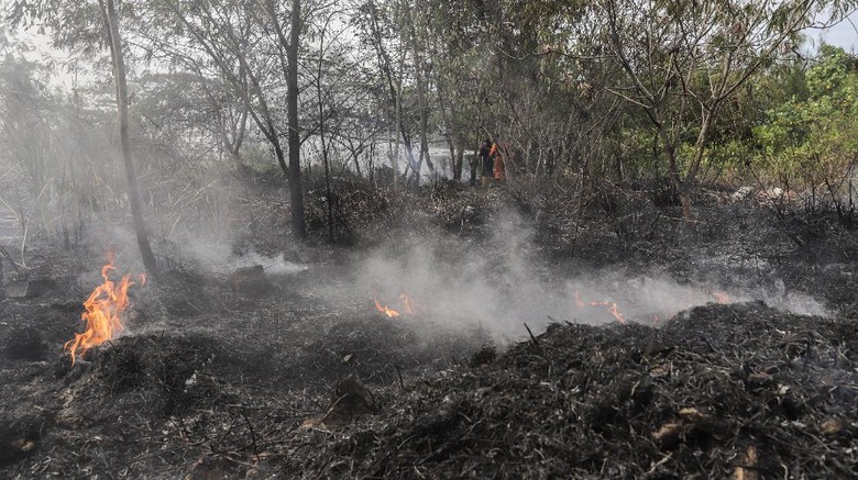 Hotspot di Sumsel Turun, Satgas Tetap Waspada Kebakaran Hutan dan Lahan