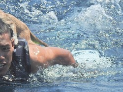 Angkatan Laut Thailand Selamatkan 4 Kucing dari Kapal yang Terbakar