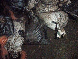 Kepergok! Belasan Karung Limbah Pabrik Bandung Dibuang di Cianjur