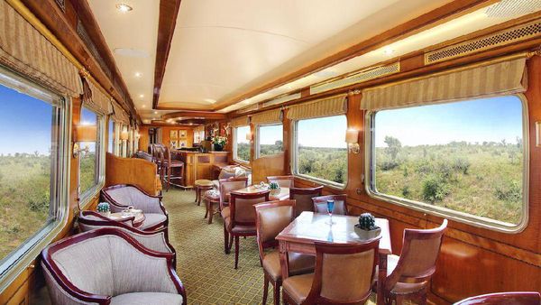 Foto: Intip Mewahnya Blue Train, Kereta Api Megah di Afrika Selatan