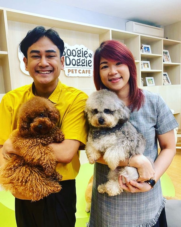 Pet cafe di mall kelapa gading boogie doggie