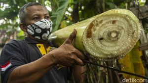 Gurihnya Bisnis Keripik Bonggol Pisang