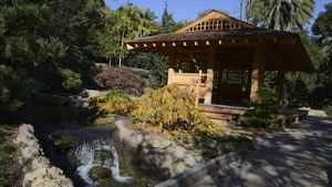 Indahnya Taman Ala Jepang di Sudut California