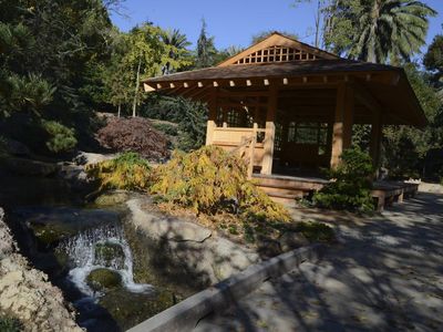 Indahnya Taman Ala Jepang di Sudut California