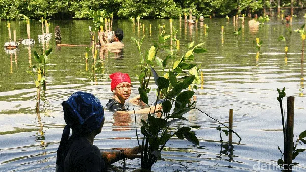 Mengenal Lebih Dekat 10 Flora-Fauna Indonesia