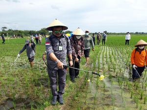 Kata Mentan Soal Harga Cabai yang Makin Pedas