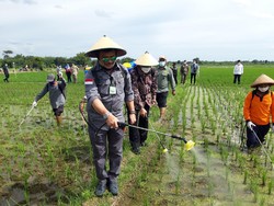 Kata Mentan Soal Harga Cabai yang Makin Pedas