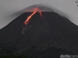 Kubah Lava Gunung Merapi Makin Tinggi, Potensi Daerah Bahaya Bertambah