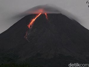 Aktivitas Meningkat, Gunung Merapi Masih Berstatus Siaga Aktivitas Meningkat, Gunung Merapi Masih Berstatus Siaga