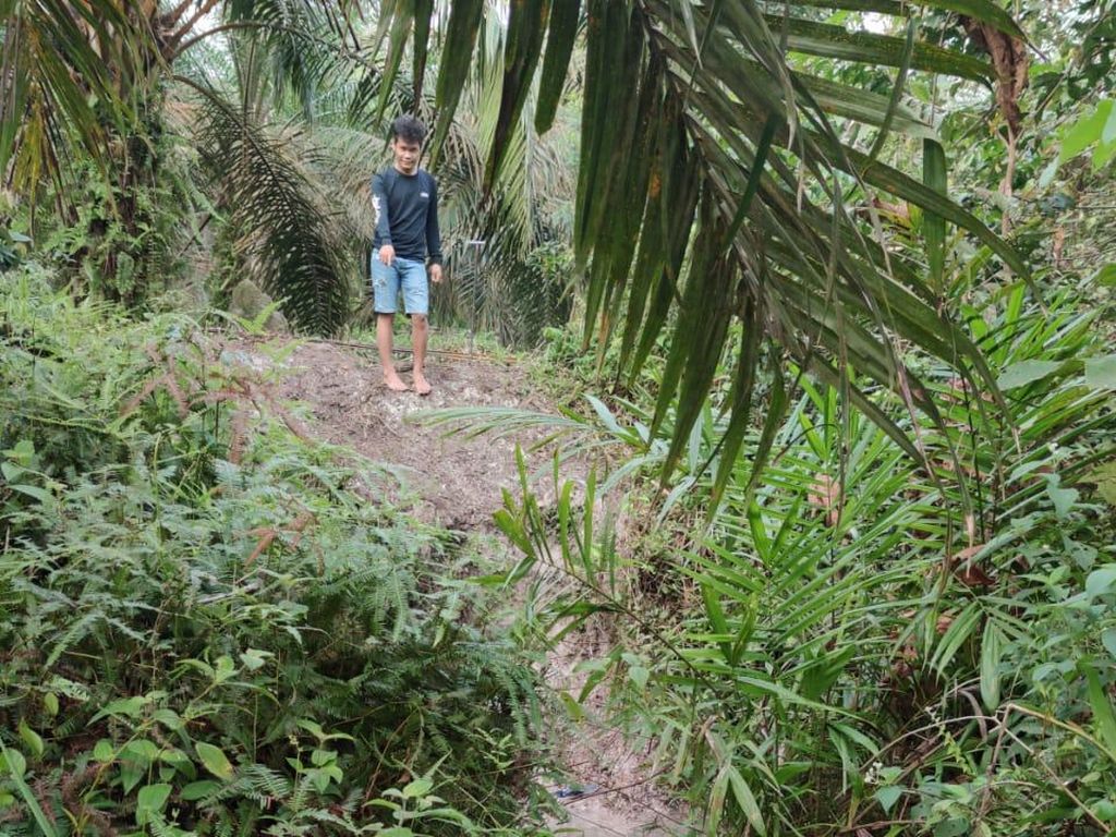 Asisten Kebun di Muratara Tewas Ditembak, Pelaku Diduga Pencuri Sawit Asisten Kebun di Muratara Tewas Ditembak, Pelaku Diduga Pencuri Sawit