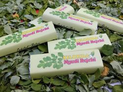 Di Bantul, Daun Kelor Bisa Disulap Jadi Cokelat Lezat & Sehat