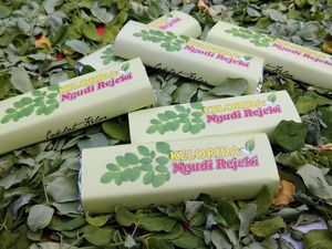 Di Bantul, Daun Kelor Bisa Disulap Jadi Cokelat Lezat & Sehat Di Bantul, Daun Kelor Bisa Disulap Jadi Cokelat Lezat & Sehat